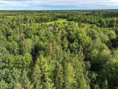 5 Acres GRUNDY RD, Irma, WI 54442