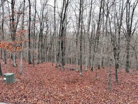 Lot 8 Buckskin Ridge, Highlandville, MO 65669