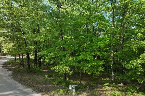 Lot 8 Buckskin Ridge, Highlandville, MO 65669