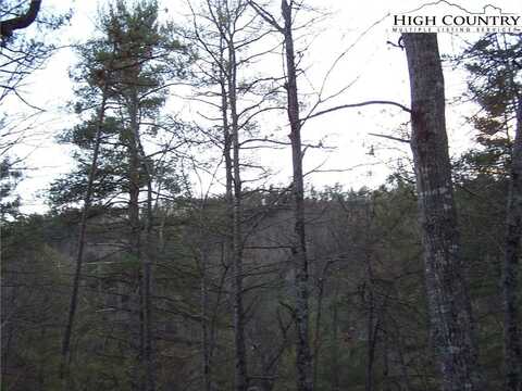 Tbd Roaring Ridge Road, Deep Gap, NC 28618