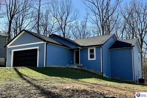 35 Blueberry Point, Brandenburg, KY 40108