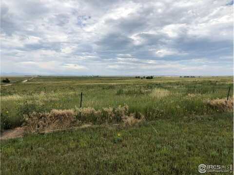 Lot H County Road 43 and 96, Pierce, CO 80650