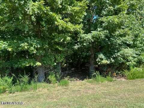 E Shore Drive, Rockwood, TN 37854