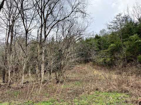 Mountain Loop Road, Thorn Hill, TN 37881