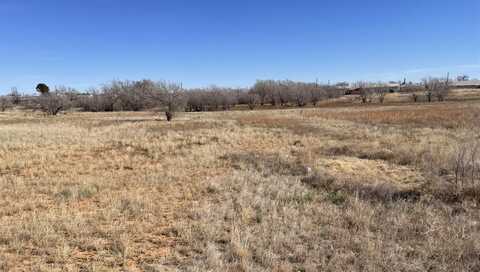 1308 N 6th, Brownfield, TX 79316