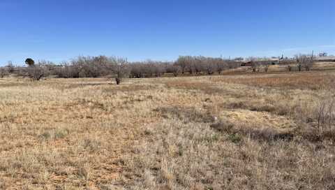 1308 N 6th, Brownfield, TX 79316