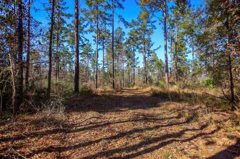 12 Acres Whitehead Road, Lufkin, TX 75901