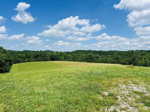 17.05ac Beech Grove Road, Jabez, KY 42544