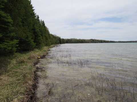 N Manistique Lake Off Tressler Drive, Mc Millan, MI 49853