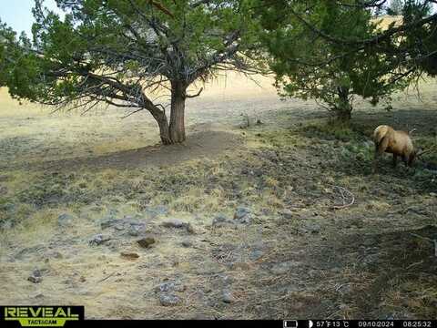 Davis Creek Rd., John Day, OR 97845