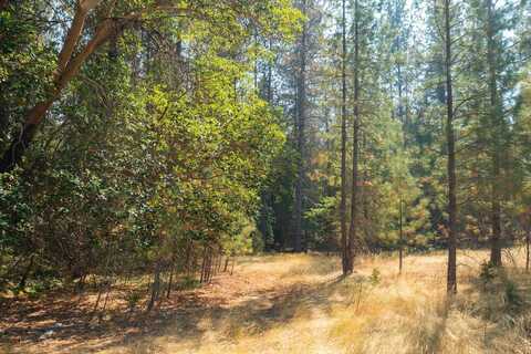 0 Pleasant Creek Road, Rogue River, OR 97537