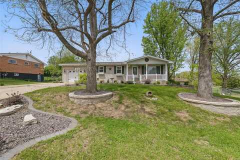 207 Hillcrest Drive, Elsberry, MO 63343