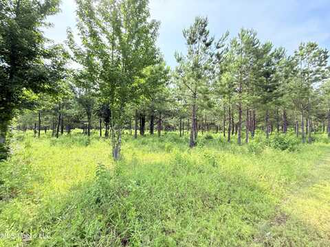 Stout Farms Drive, Madison, MS 39110