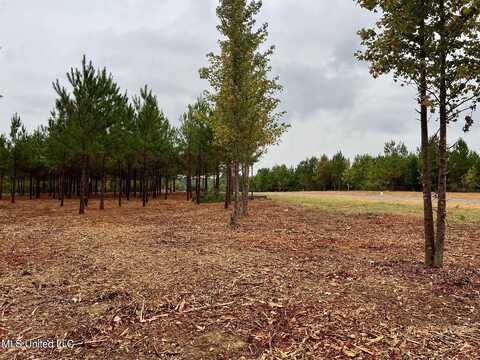 Stout Farms Drive, Madison, MS 39110