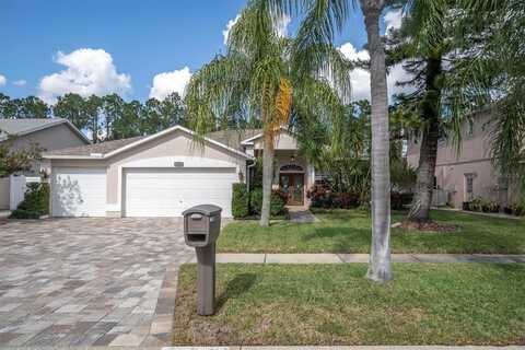 11401 GEORGETOWN CIRCLE, TAMPA, FL 33635