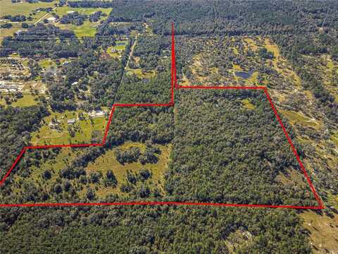 00 W HWY 316, REDDICK, FL 32686