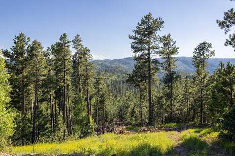 Lot 116 Paradise Gulch Loop, Lead, SD 57754