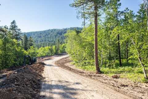 Lot 114 Paradise Gulch Loop, Lead, SD 57754