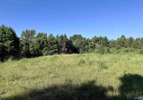 33+/- Acres County Road 1101, Vinemont, AL 35179