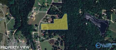 610 County Road 372, Hillsboro, AL 35643