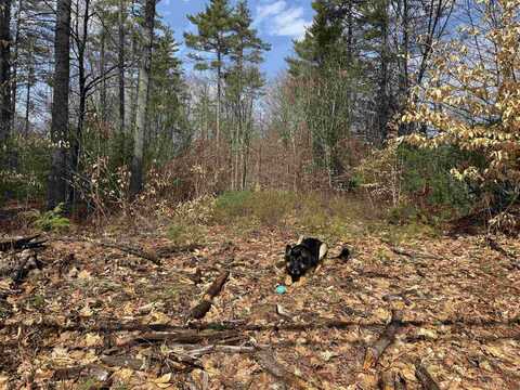 0 Green Mountain Road, Effingham, NH 03882