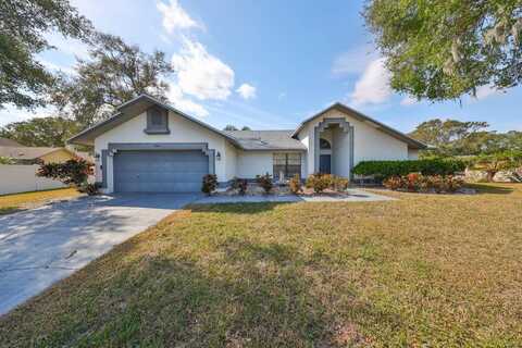 11332 Torrey Pines Drive, Riverview, FL 33579