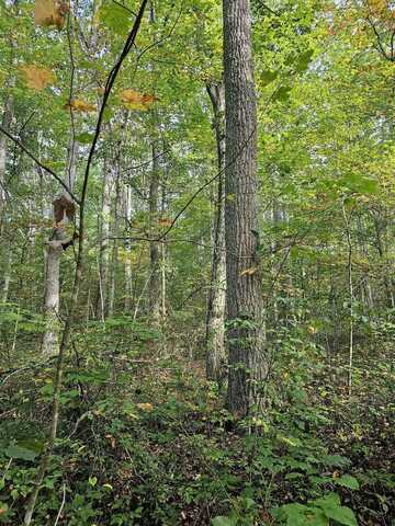 1650 Burnt Cabin Road, Oakvale, WV 24739