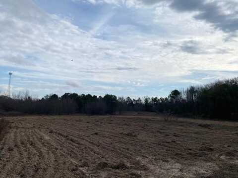TBD Edmonson, ATHENS, TX 75751