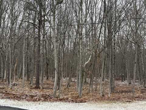 108 LAKE Lane, Pocono Lake, PA 18347