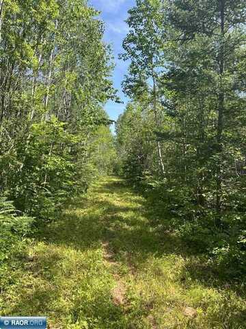 1961 Town Road 118, Birchdale, MN 56629
