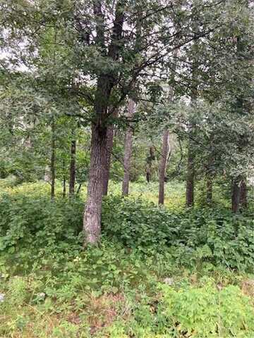 Lot 39 & 40 Owl Circle, Breezy Point, MN 56472