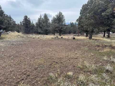 Unit 1 Lot 96 Harborview Dr, Weed, CA 96094