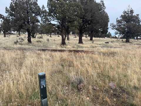 Unit 1 Lot 192 Lake Shastina Dr, Weed, CA 96094