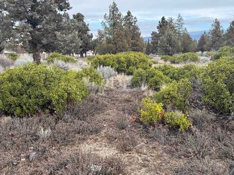 U 8-1 Lot 205 Rockwood, Weed, CA 96094