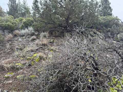 Unit 4 Lot 405 Condor, Weed, CA 96094