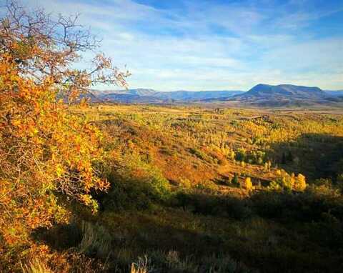 50560 SMITH CREEK PARK ROAD, Steamboat Springs, CO 80487