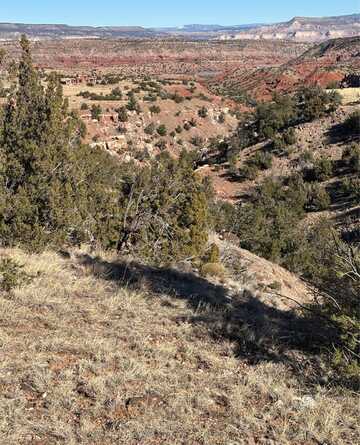 Lot 14 TBD, Youngsville, NM 87064