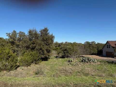 206 Falling Hills, New Braunfels, TX 78132