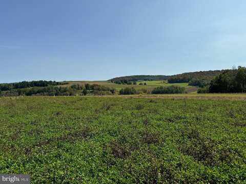 443 S BRANCH ROAD, COUDERSPORT, PA 16915