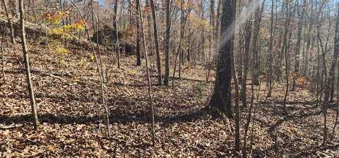 Lakeview Trail, HOLLADAY, TN 38341