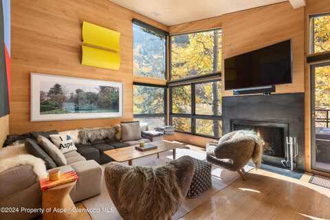 800 S Monarch Street, Aspen, CO 81611