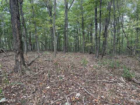 Lot 4 Glade Pike Estates, Manns Choice, PA 15550