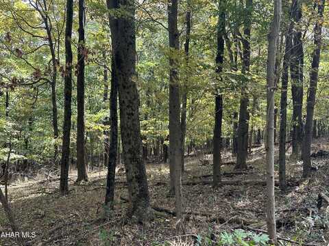 Lot 3 Glade Pike Estates, Manns Choice, PA 15550