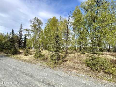 125 Judy Lane, Soldotna, AK 99669