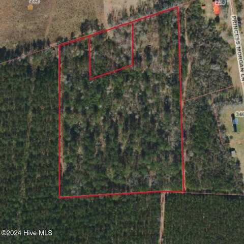 11.5 Acres Ernest Valeria Lane, Willard, NC 28478