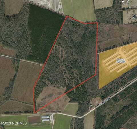 61.5 Acres Penderlea Highway, Willard, NC 28478