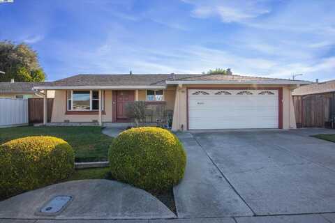 4144 Tamayo St, Fremont, CA 94536