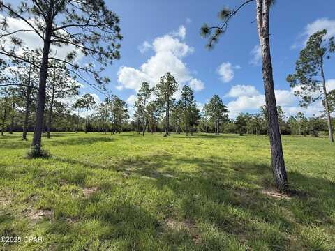 Petty Road unit: Parcel B, Marianna, FL 32448