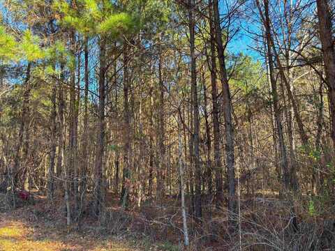 84 Grant 733, Sheridan, AR 72150