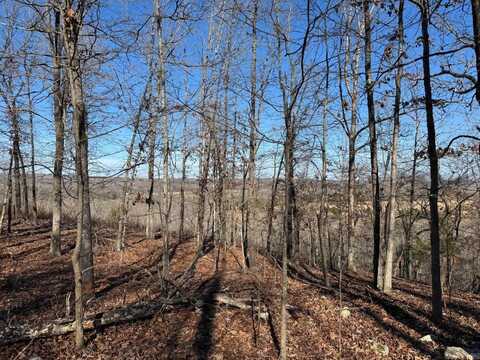 60 B Tablerock Road, Evening Shade, AR 72532